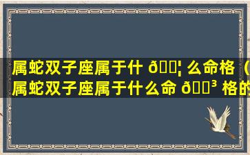 属蛇双子座属于什 🐦 么命格（属蛇双子座属于什么命 🐳 格的人）